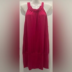 Express Women’s Dress